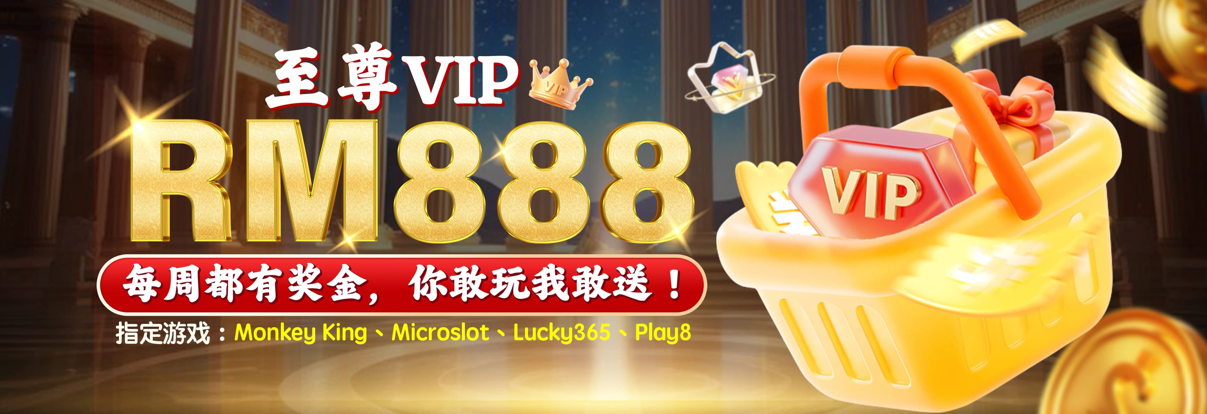 VIP 专属